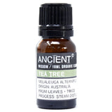 Organiczny olejek eteryczny z drzewa herbacianego 10 ml