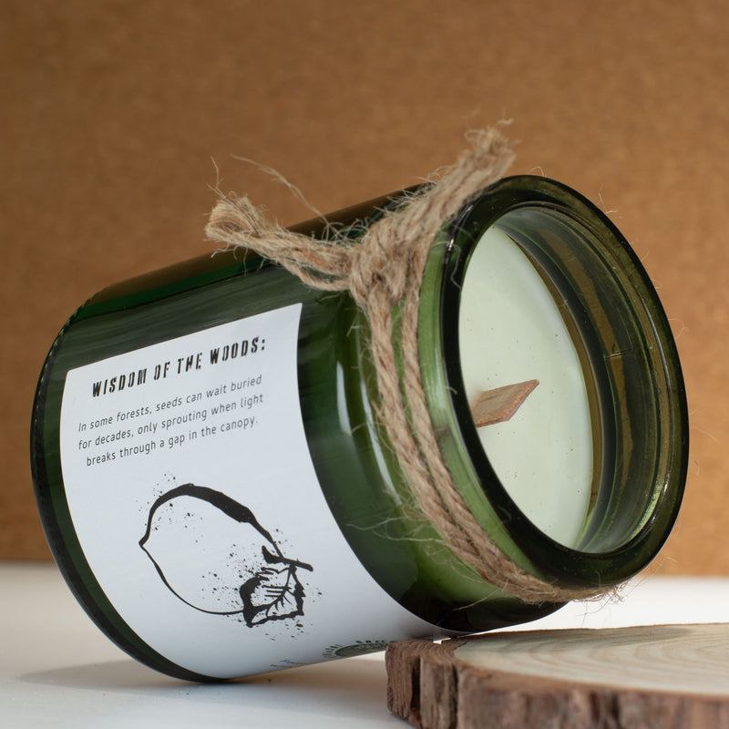 Świeca na ochronę, uziemienie, oczyszczenie i odzyskanie wewnętrznej siły - FOREST RESIN