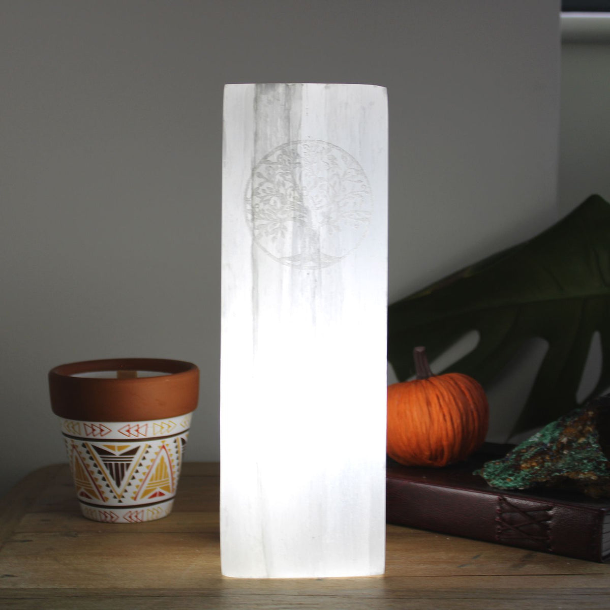 Lampa z bloku selenitu 25 cm – Drzewo Życia